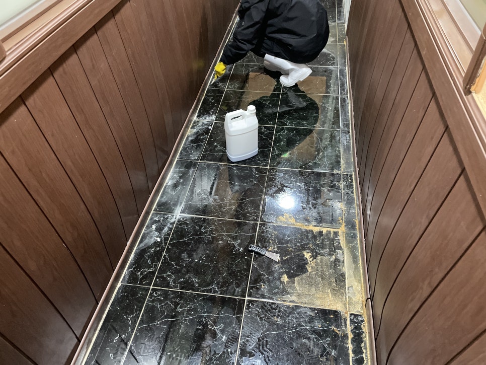 전문 약품 처리